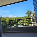 Departamento En Pucon